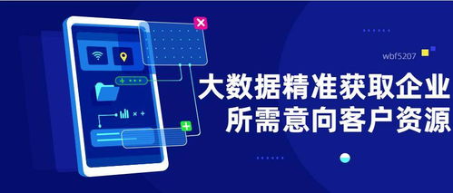大数据精准营销 破解飞蜥等企业起步获客难题的利器